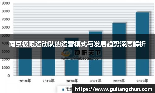 南京极限运动队的运营模式与发展趋势深度解析