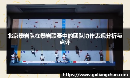 mk体育